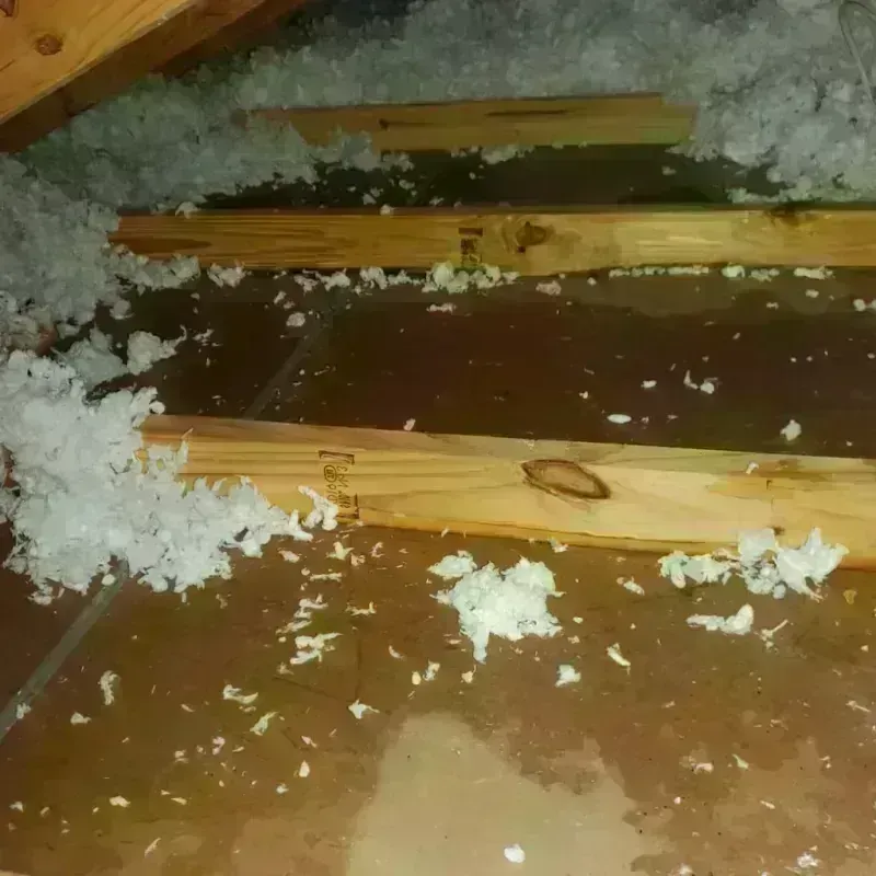 Attic Water Damage in Warren County, NY